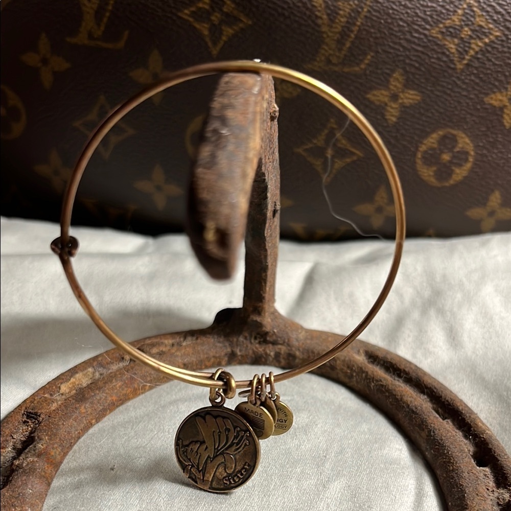 Alex and Ani Gold Charm Bracelet